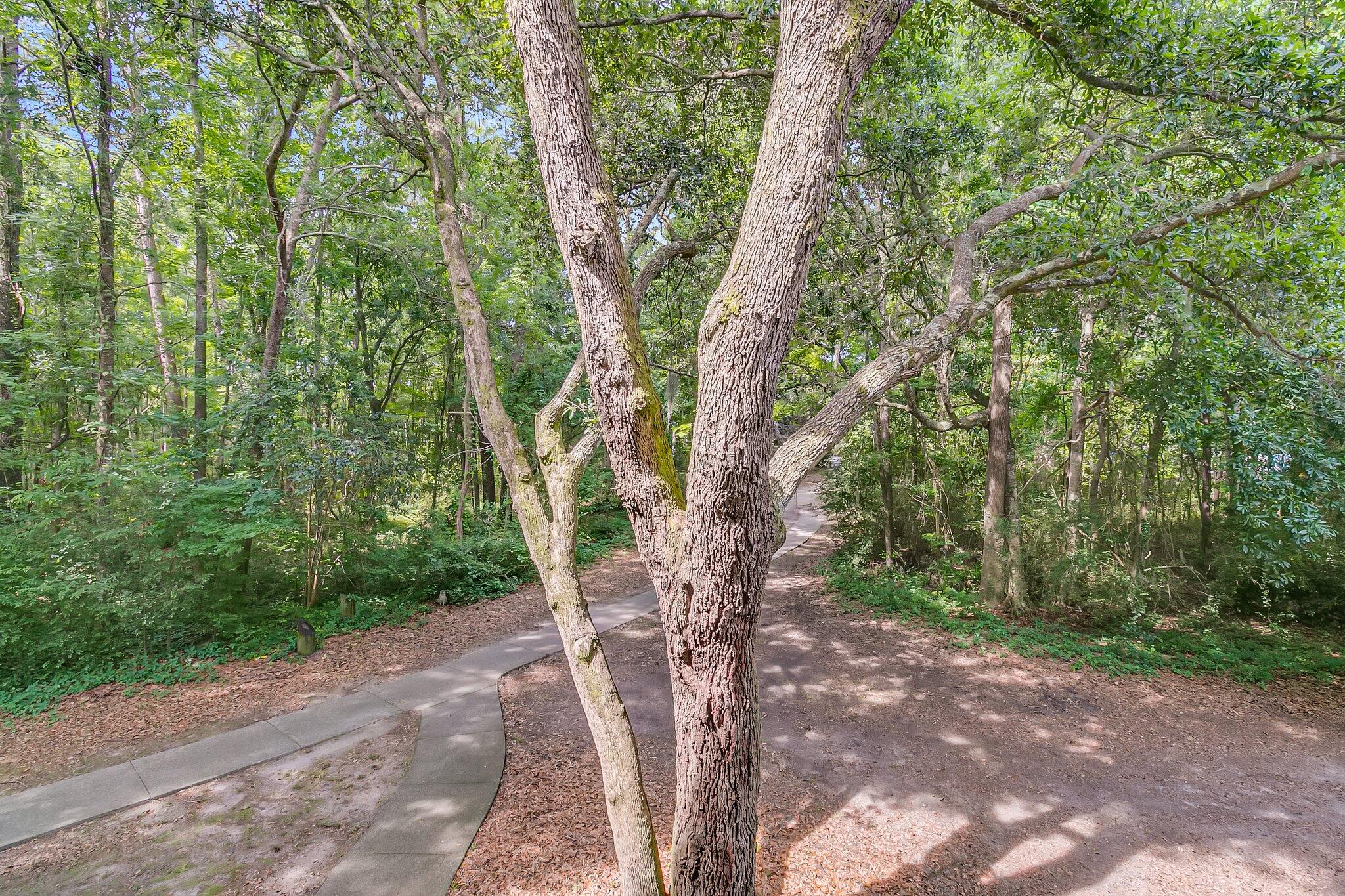 700 Daniel Ellis Drive # 2203