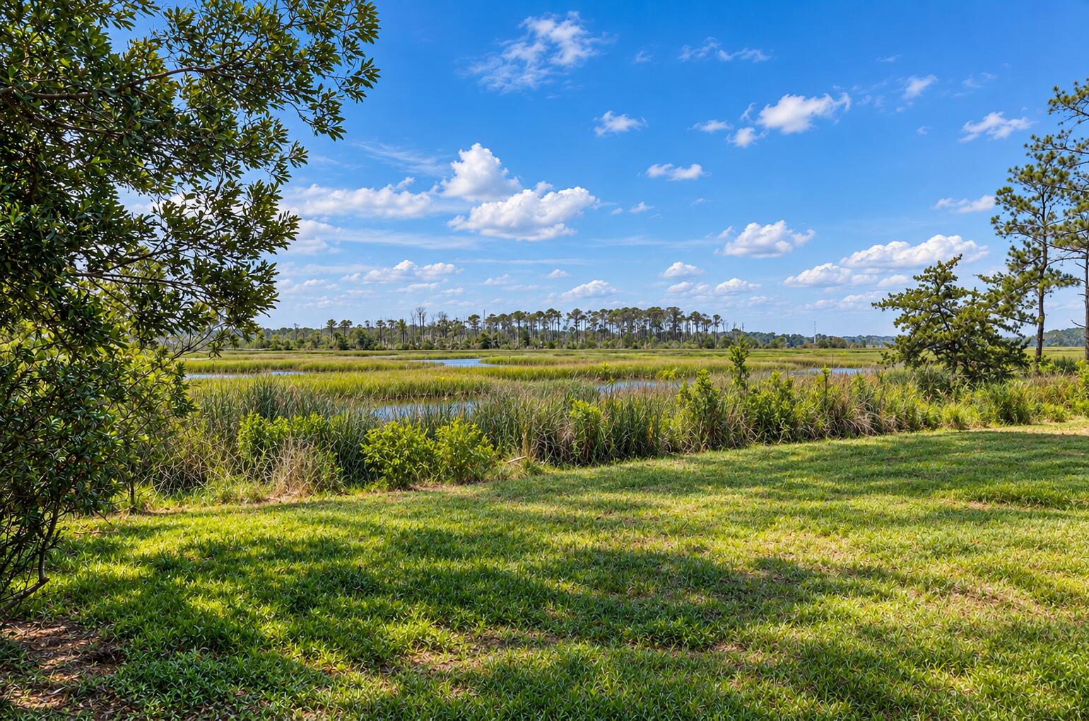 2441 Rushland Landing Road