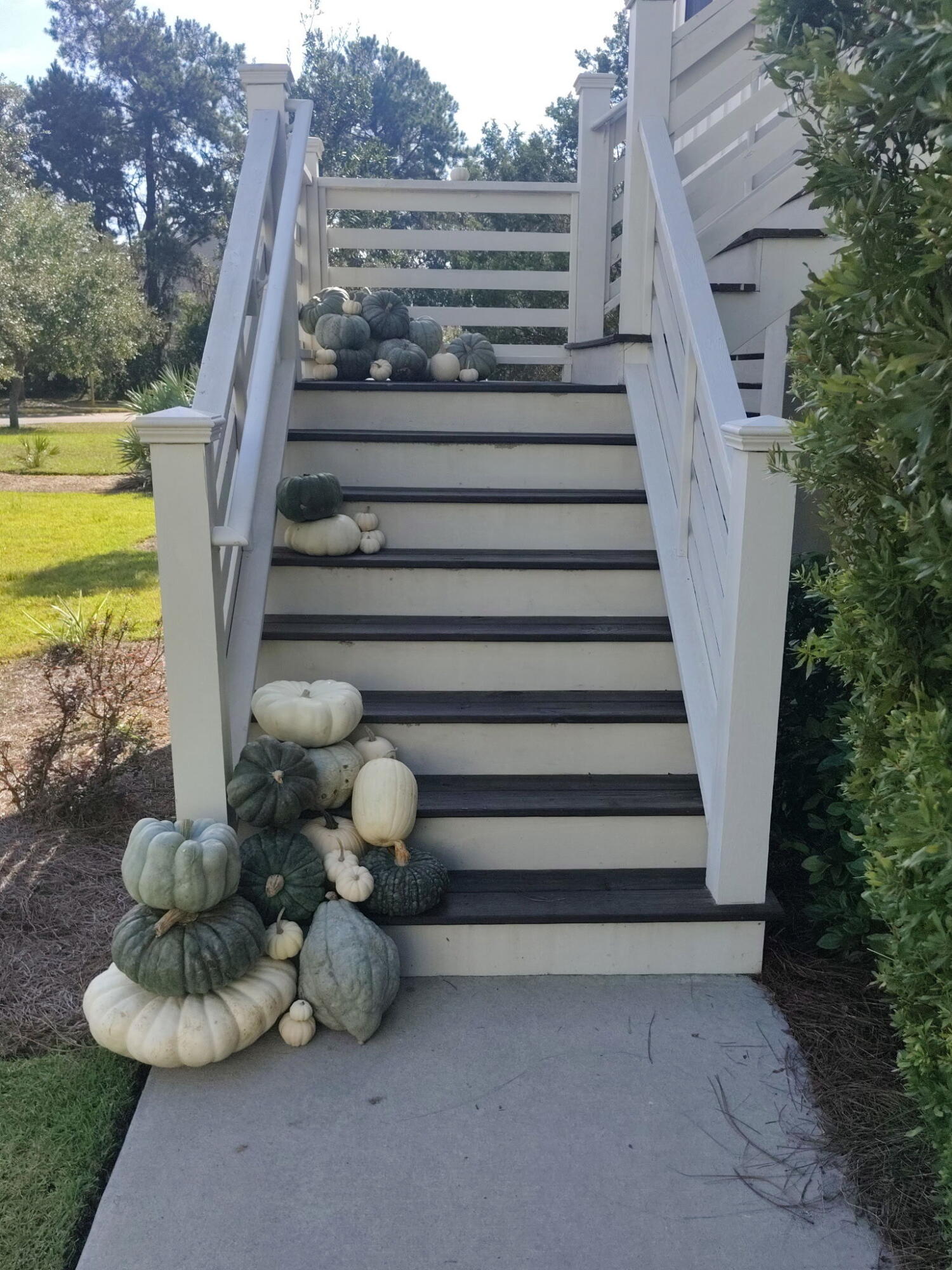 2441 Rushland Landing Road