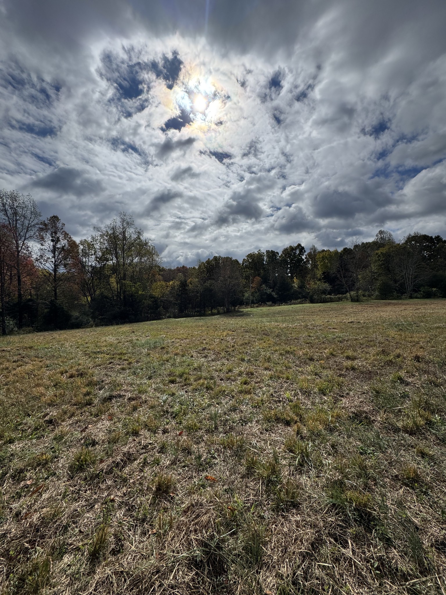 1165 Mount Pleasant Rd