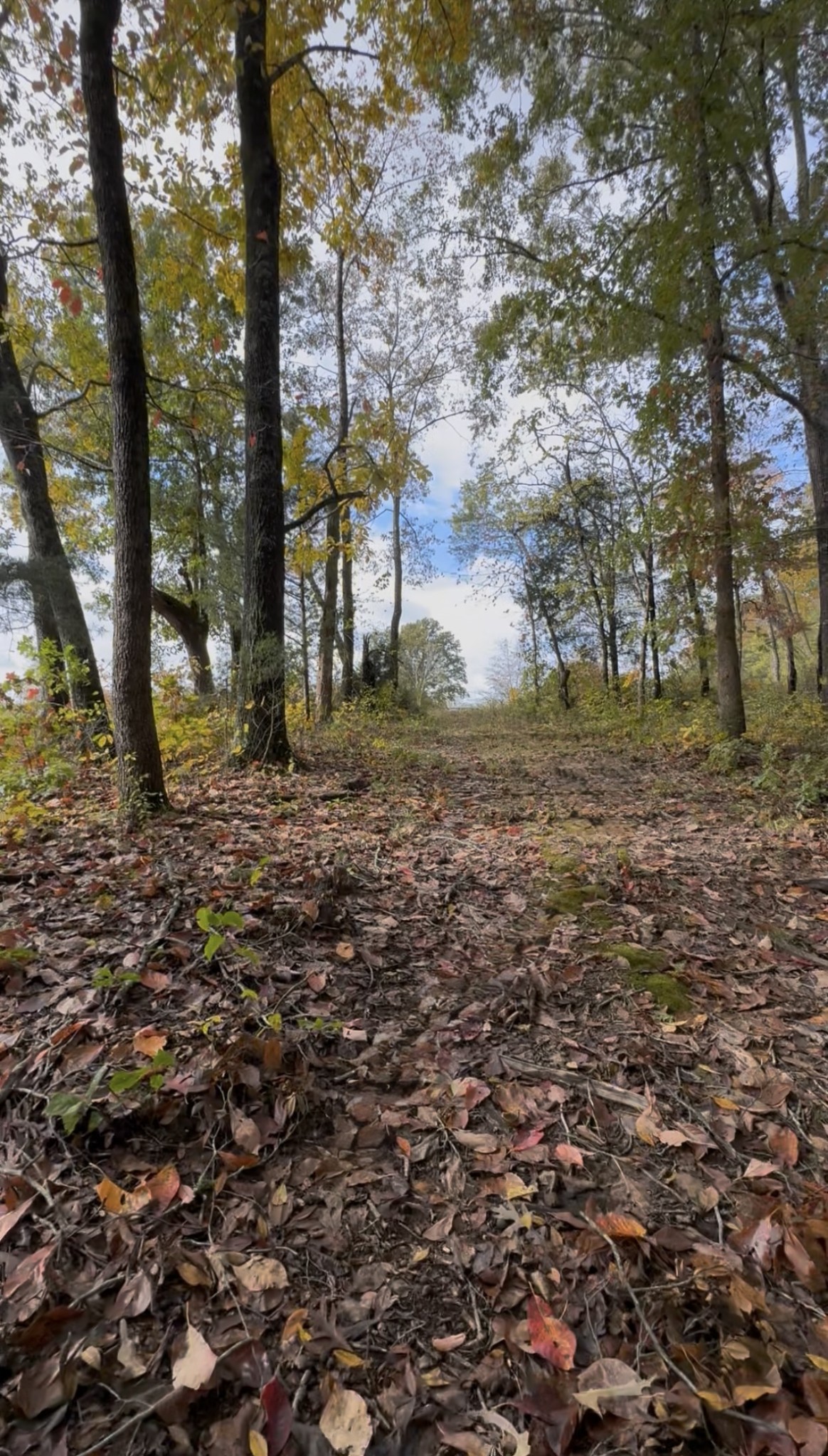 1165 Mount Pleasant Rd