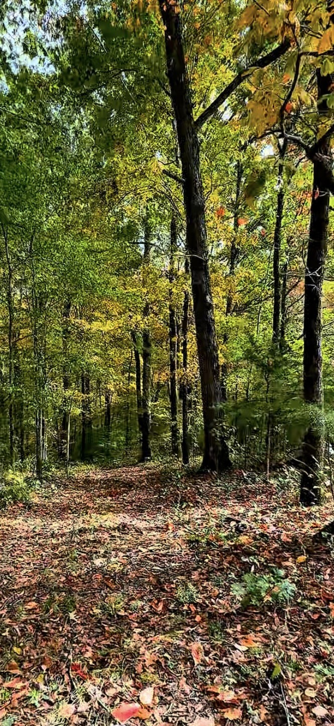 1165 Mount Pleasant Rd