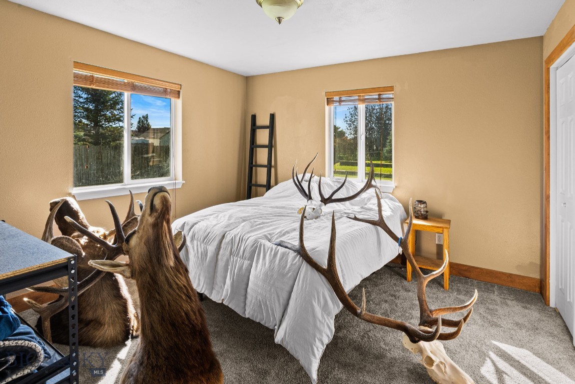 162 W Tobiano Trail