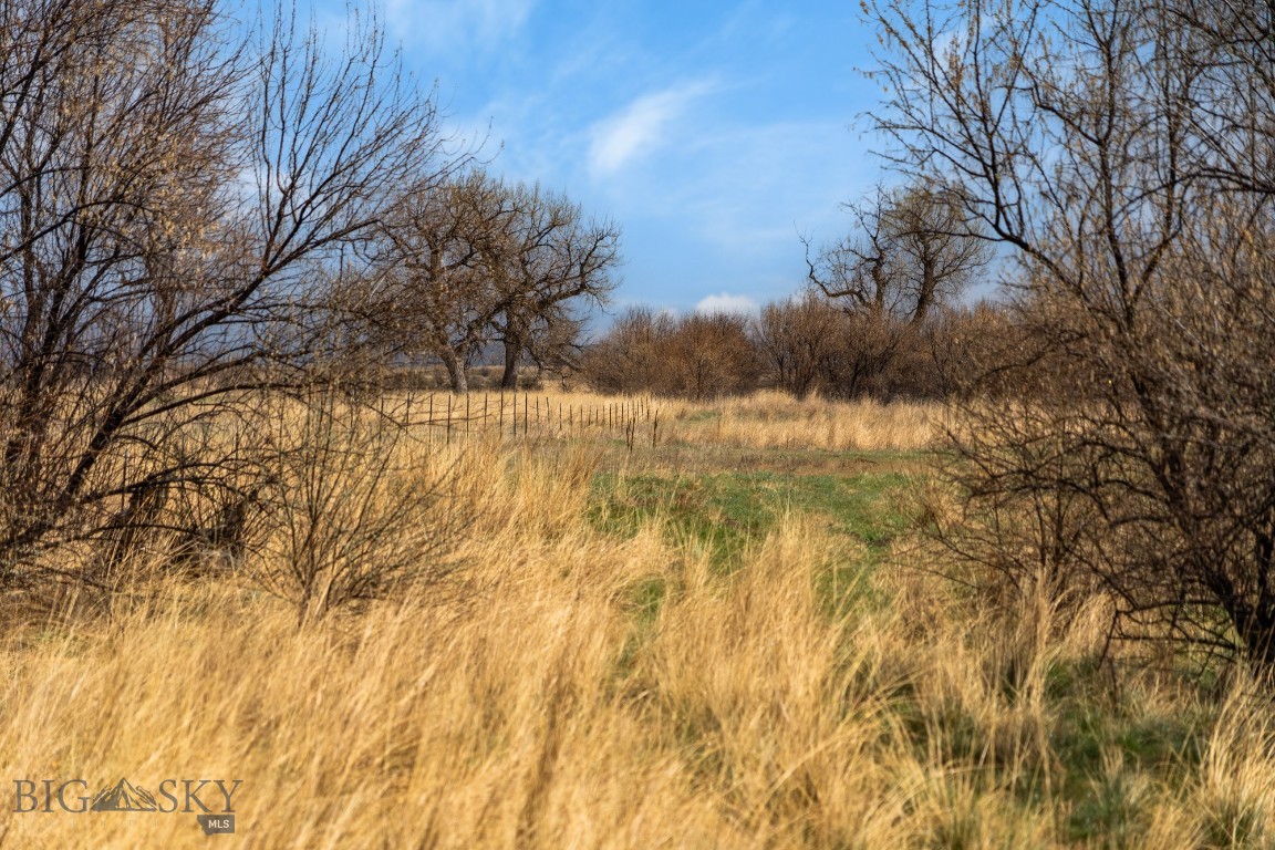 TBD HWY 313