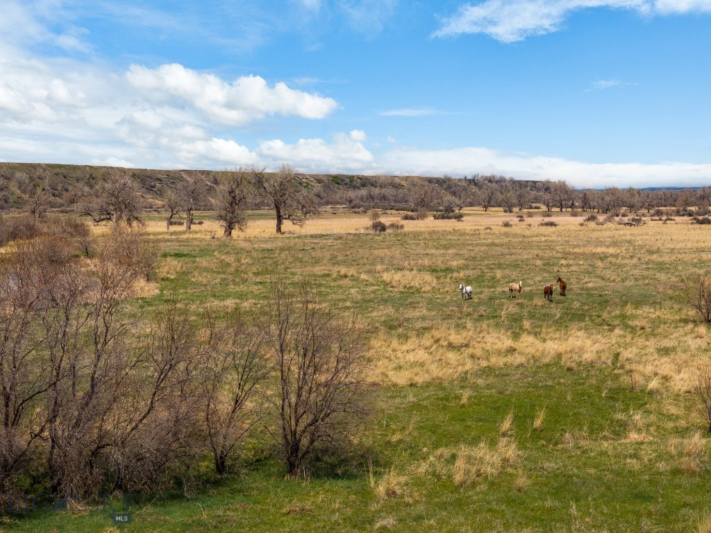 TBD HWY 313