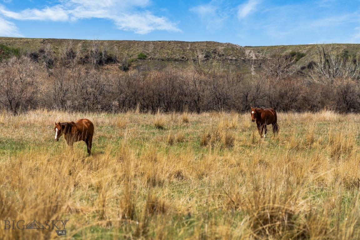 TBD HWY 313