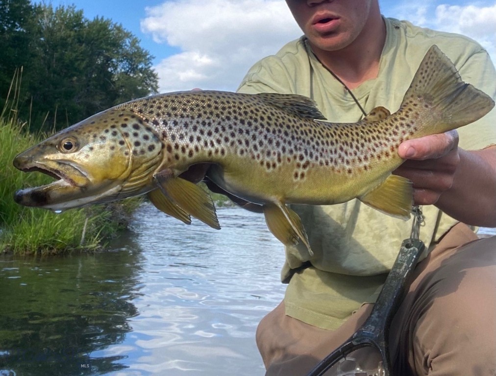 67 Upper Rainbow Road