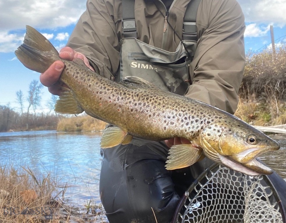 67 Upper Rainbow Road