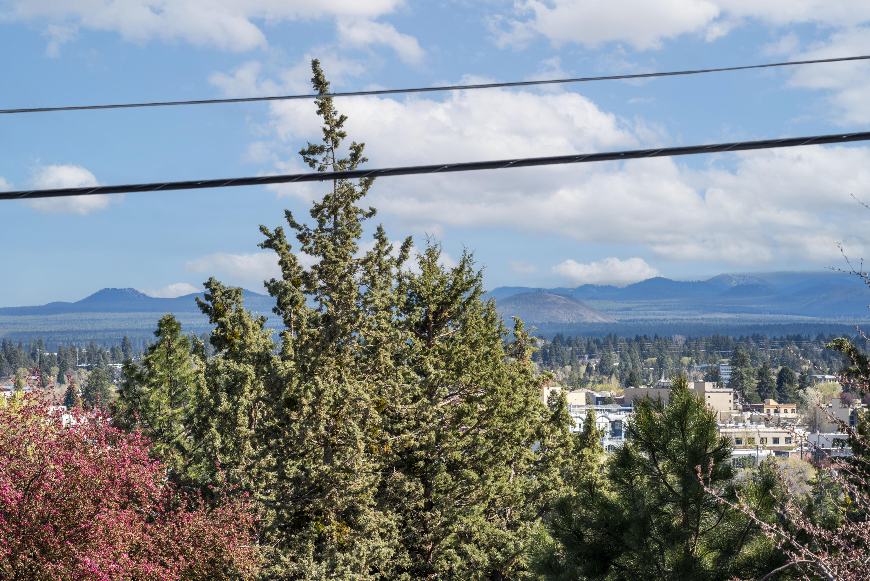 204 NW Wilmington Avenue