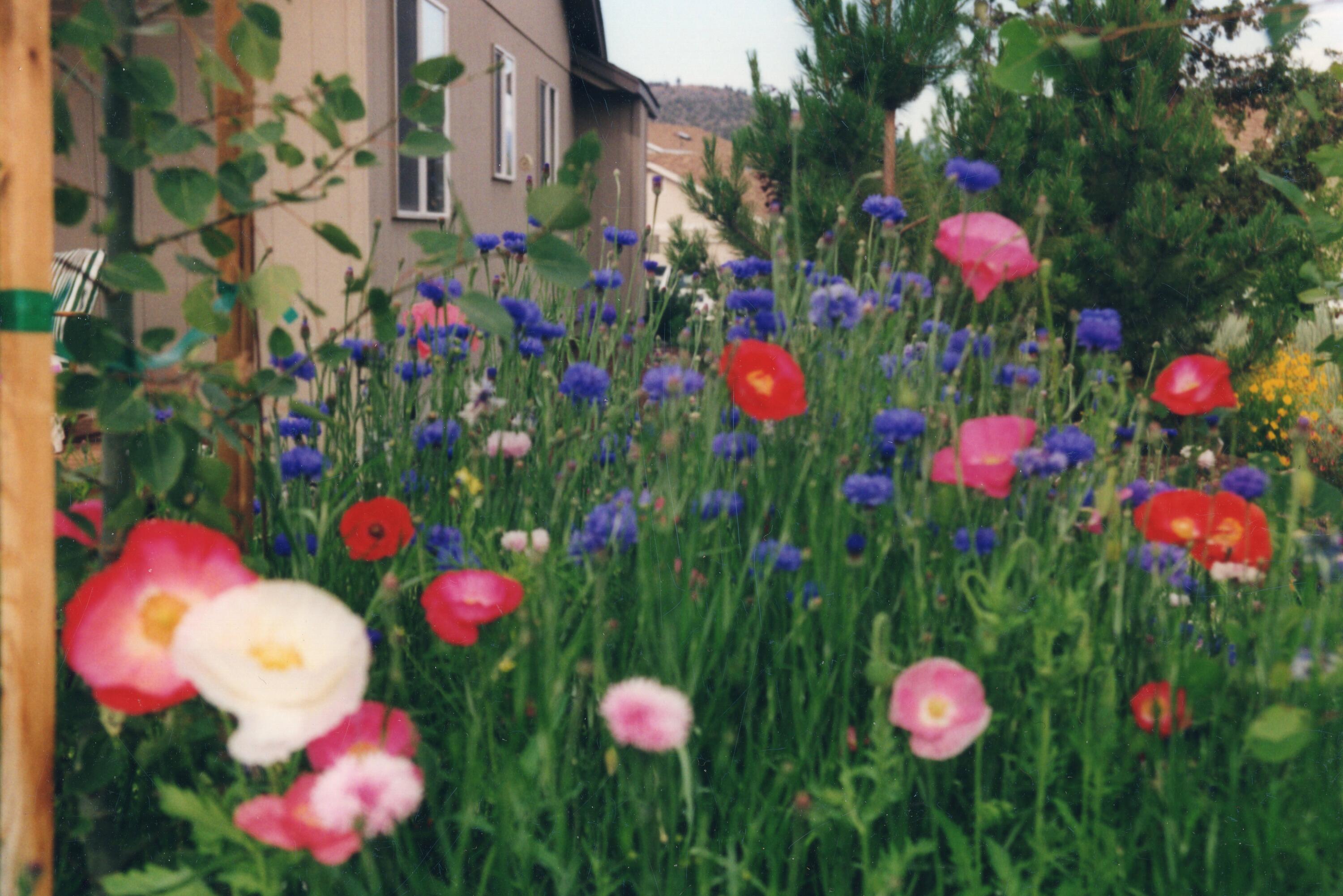 1100 NE Locksley Drive