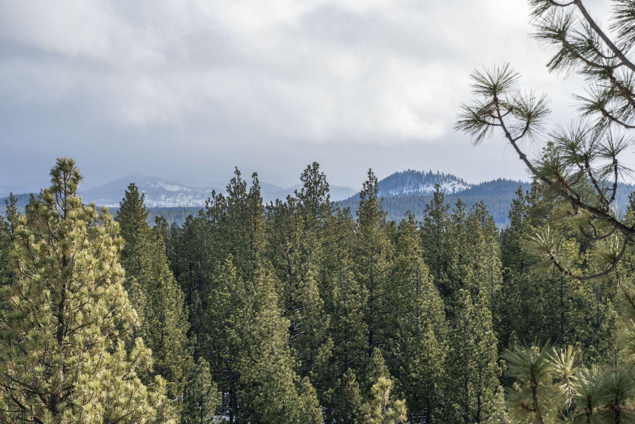 18575 SW Century Drive, 1235 B & C