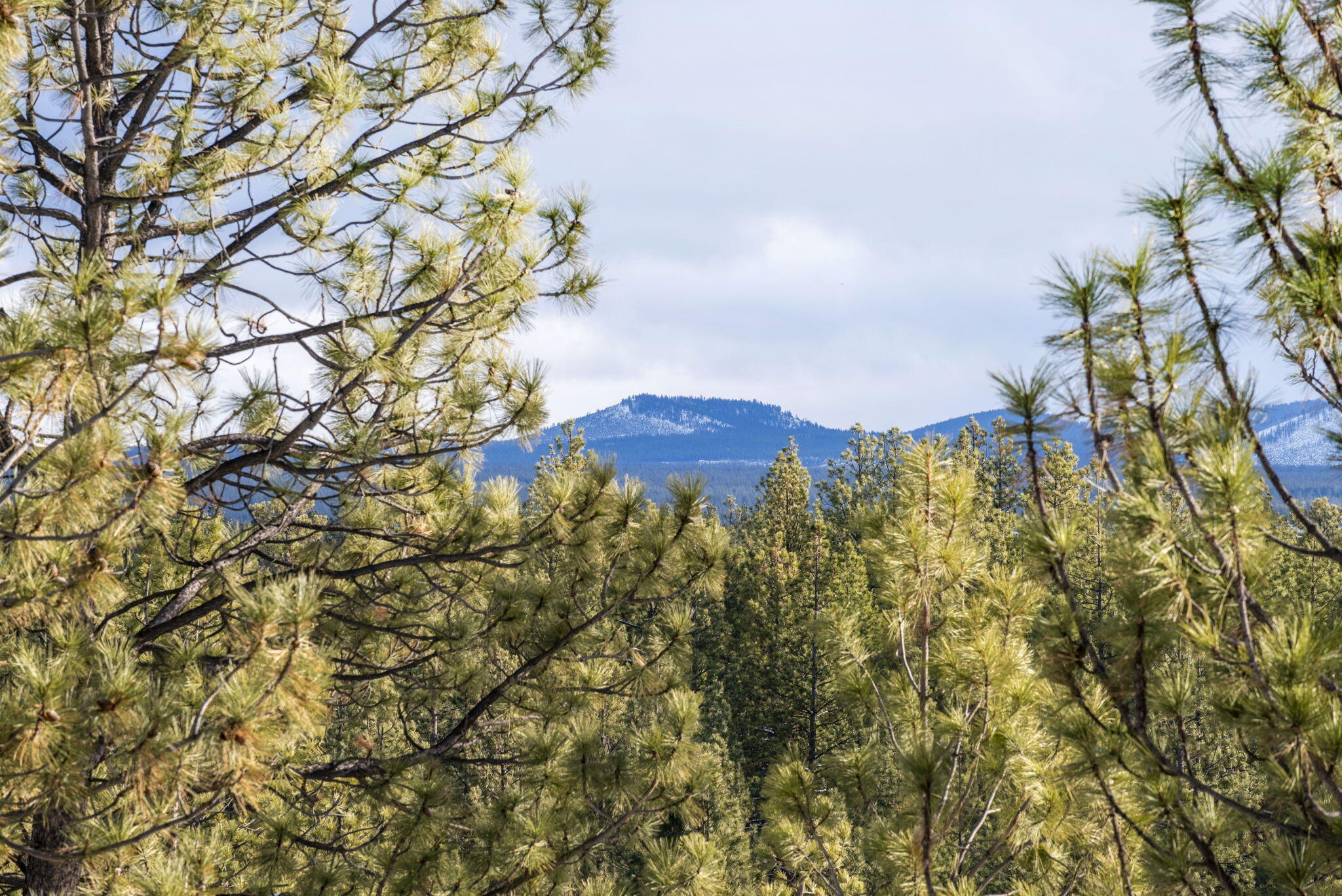 18575 SW Century Drive, 1235 C