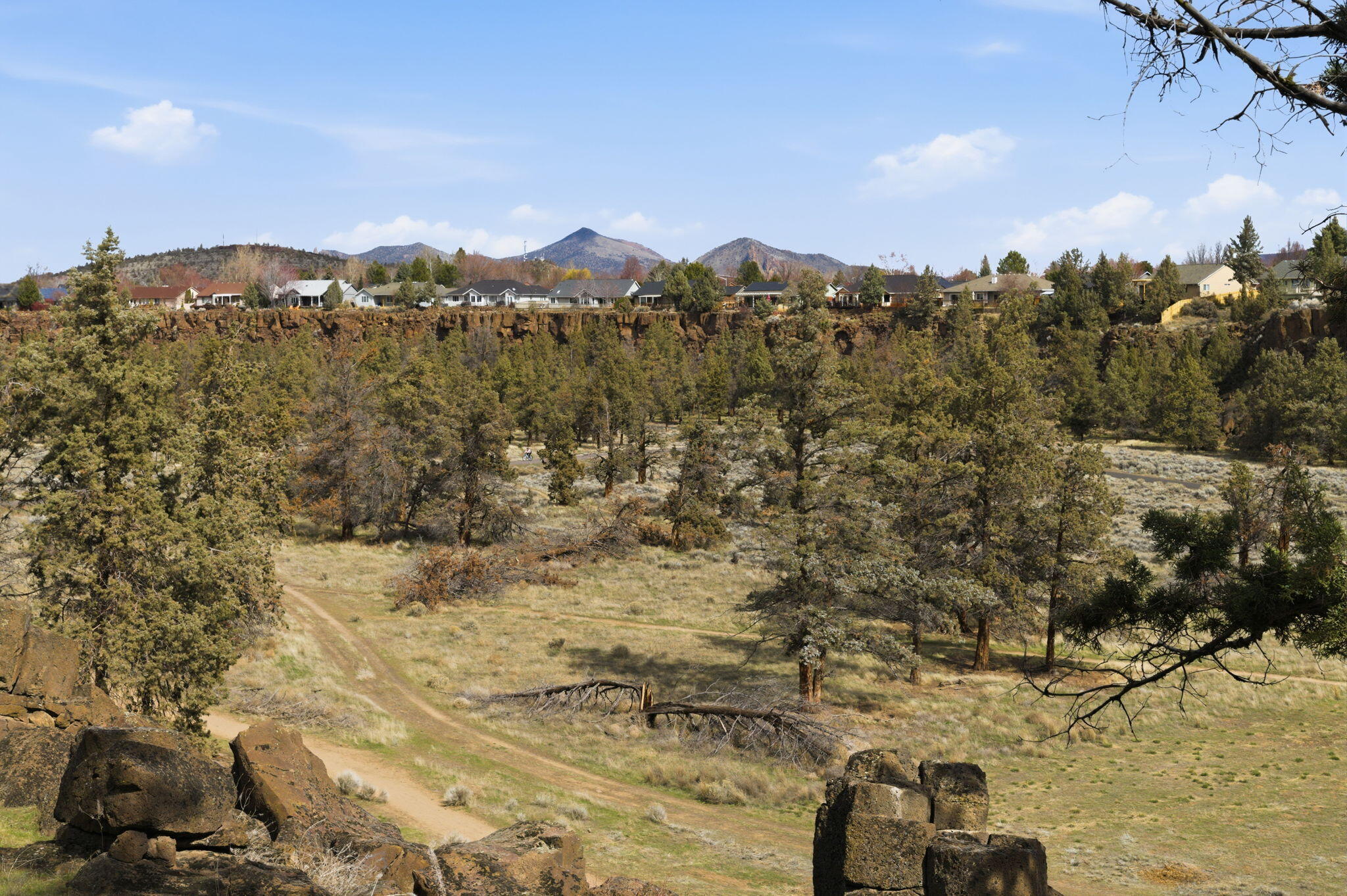 1736 NW Nickernut Place