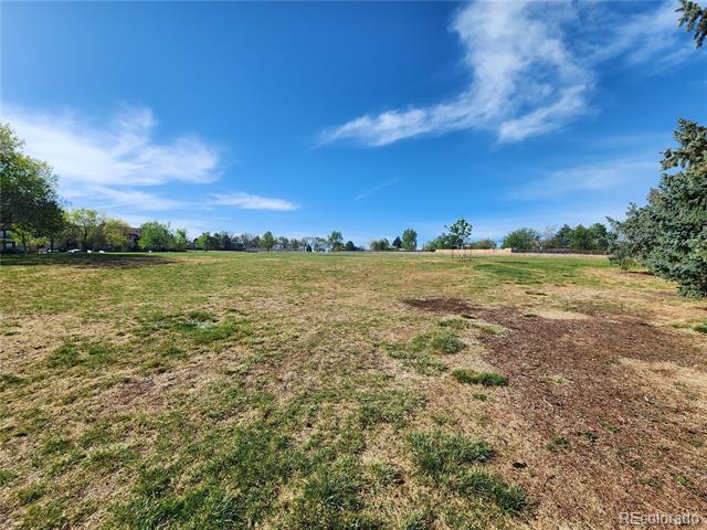 8790 Allison Drive Unit: C