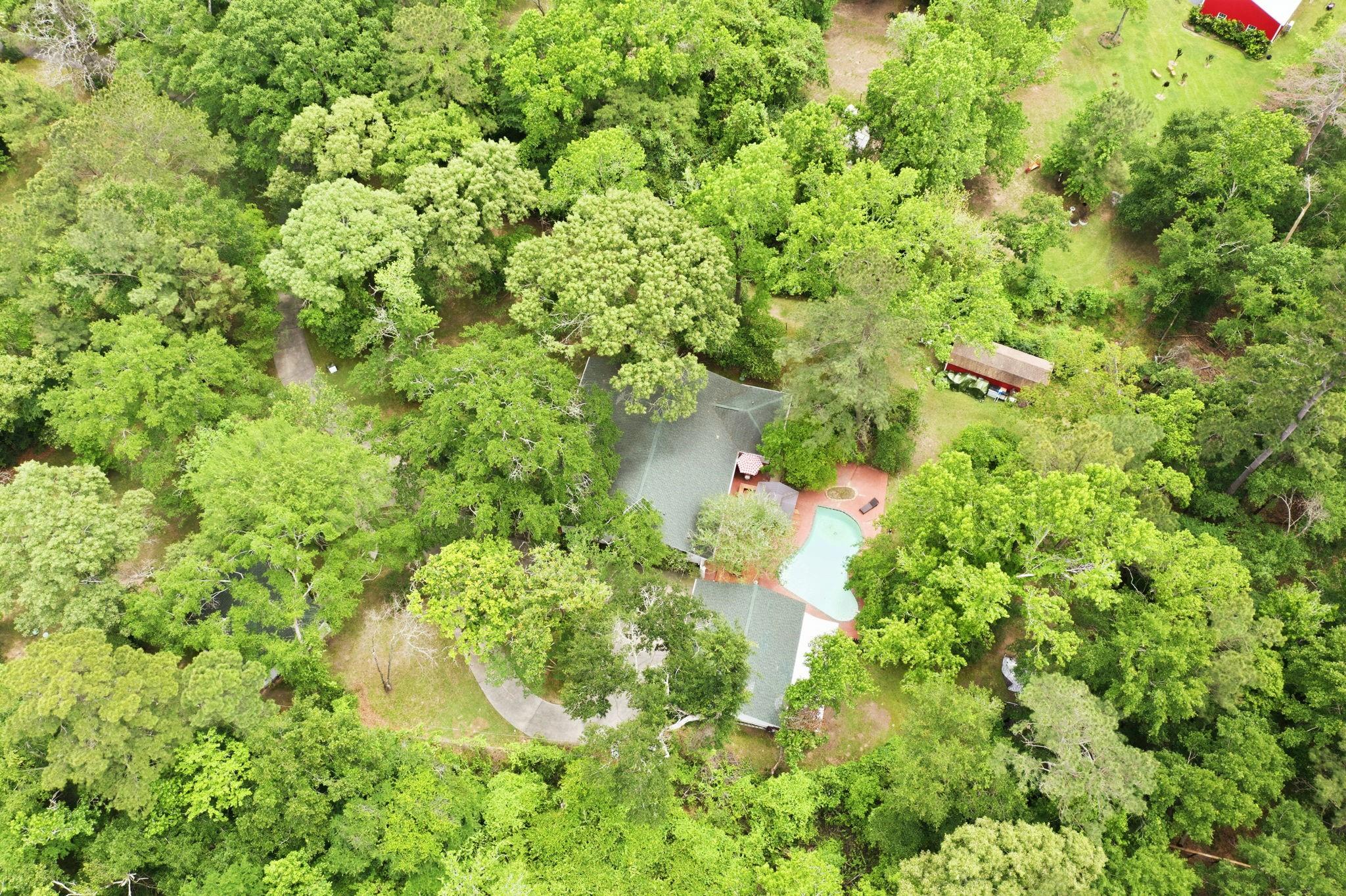 619 Tall Pines Drive