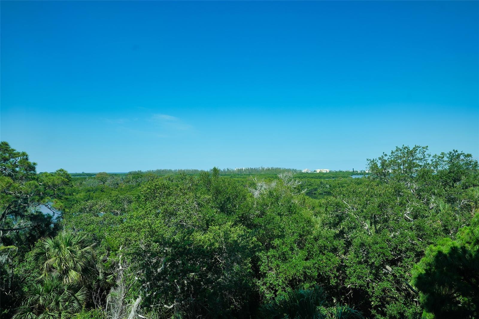 409 N POINT RD #501