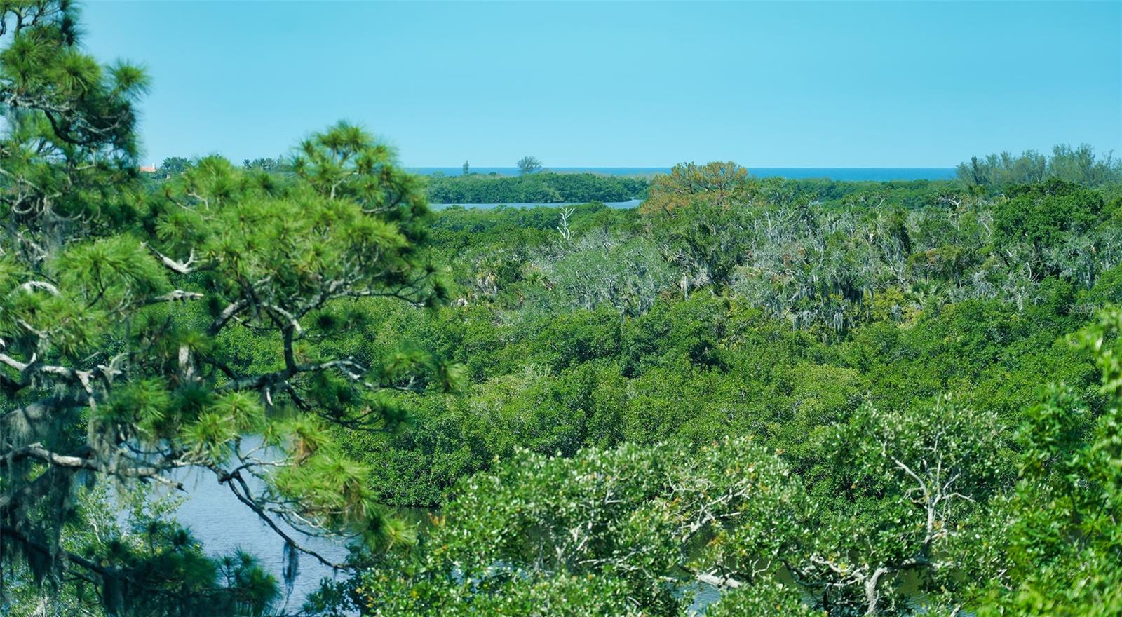 409 N POINT RD #501