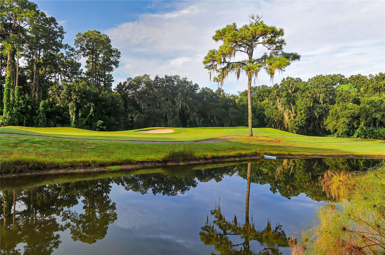 5152 MARSHFIELD LN #117