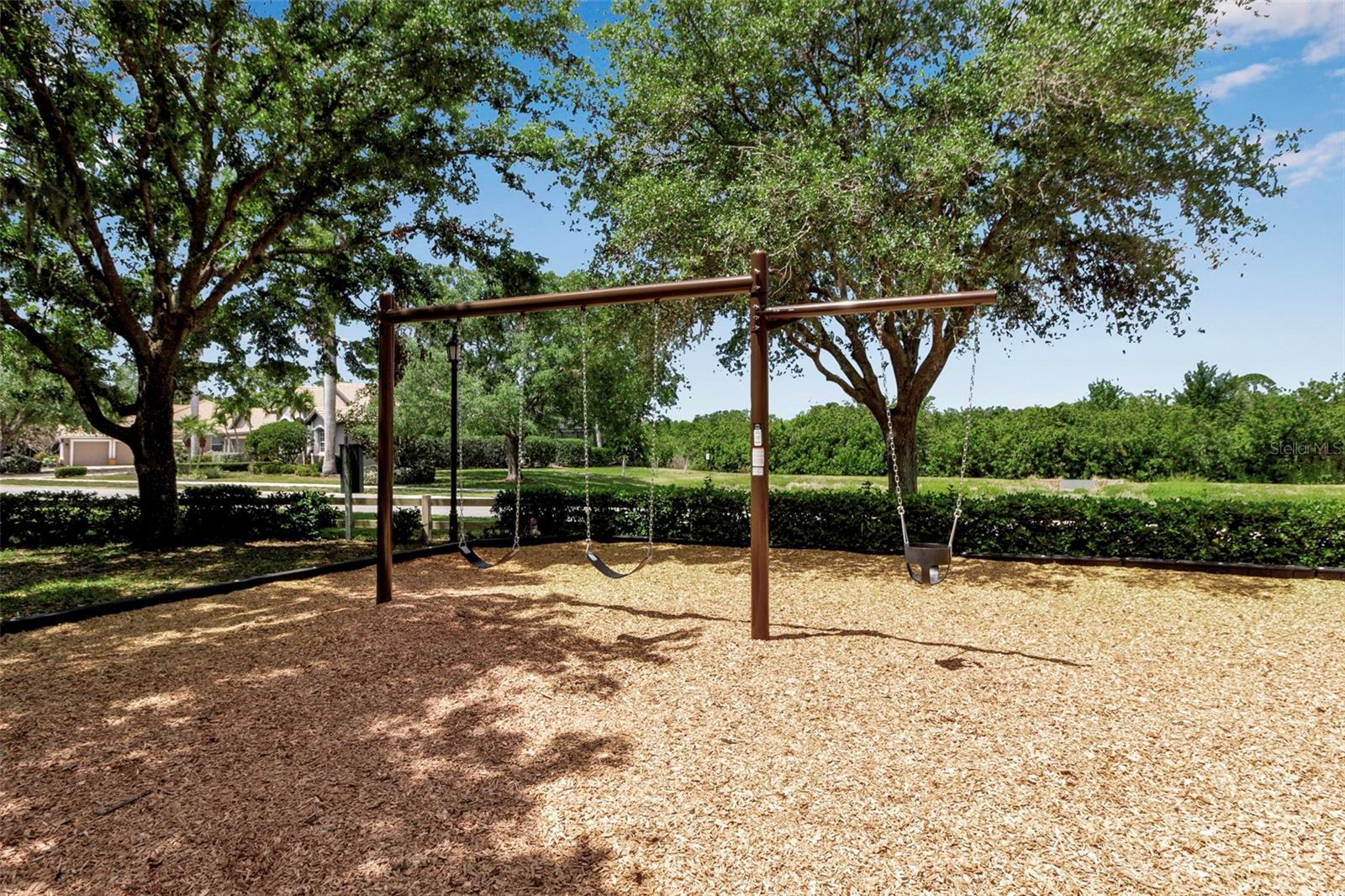 3738 EAGLE HAMMOCK DR