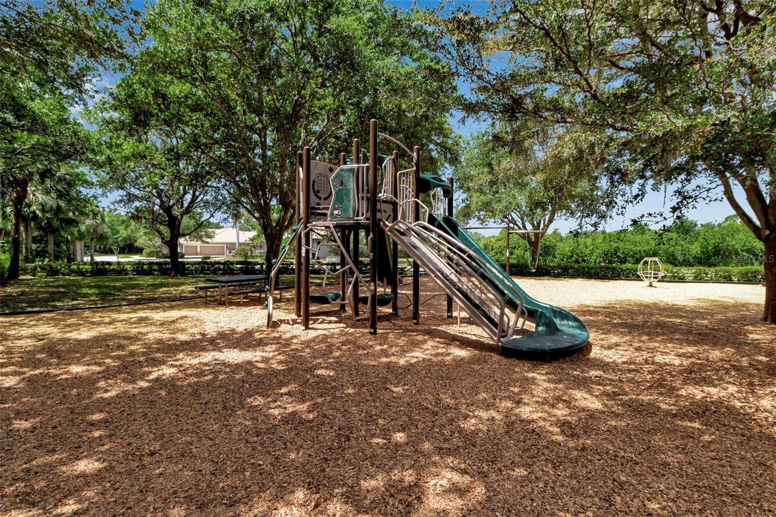 3738 EAGLE HAMMOCK DR