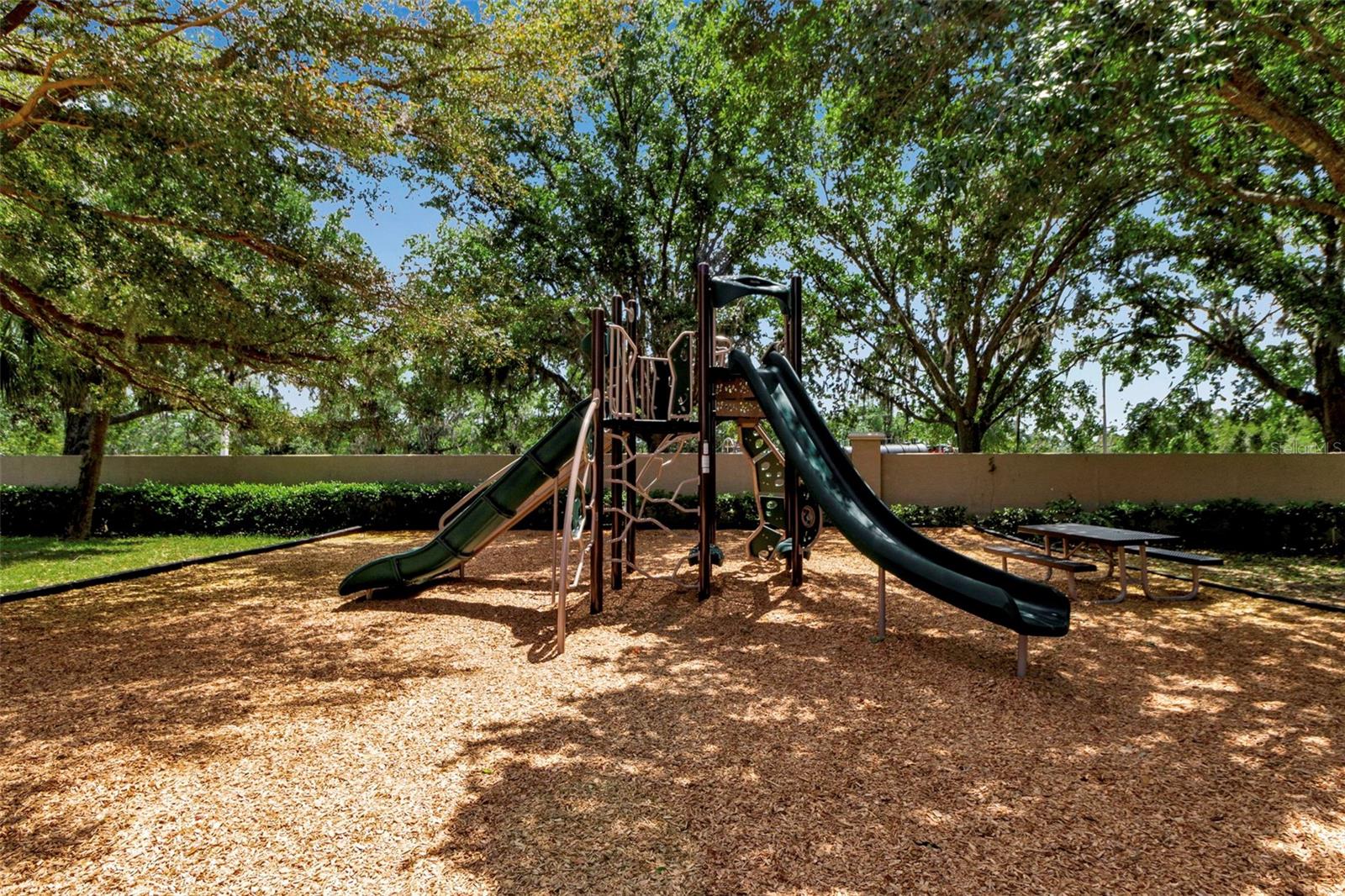 3738 EAGLE HAMMOCK DR