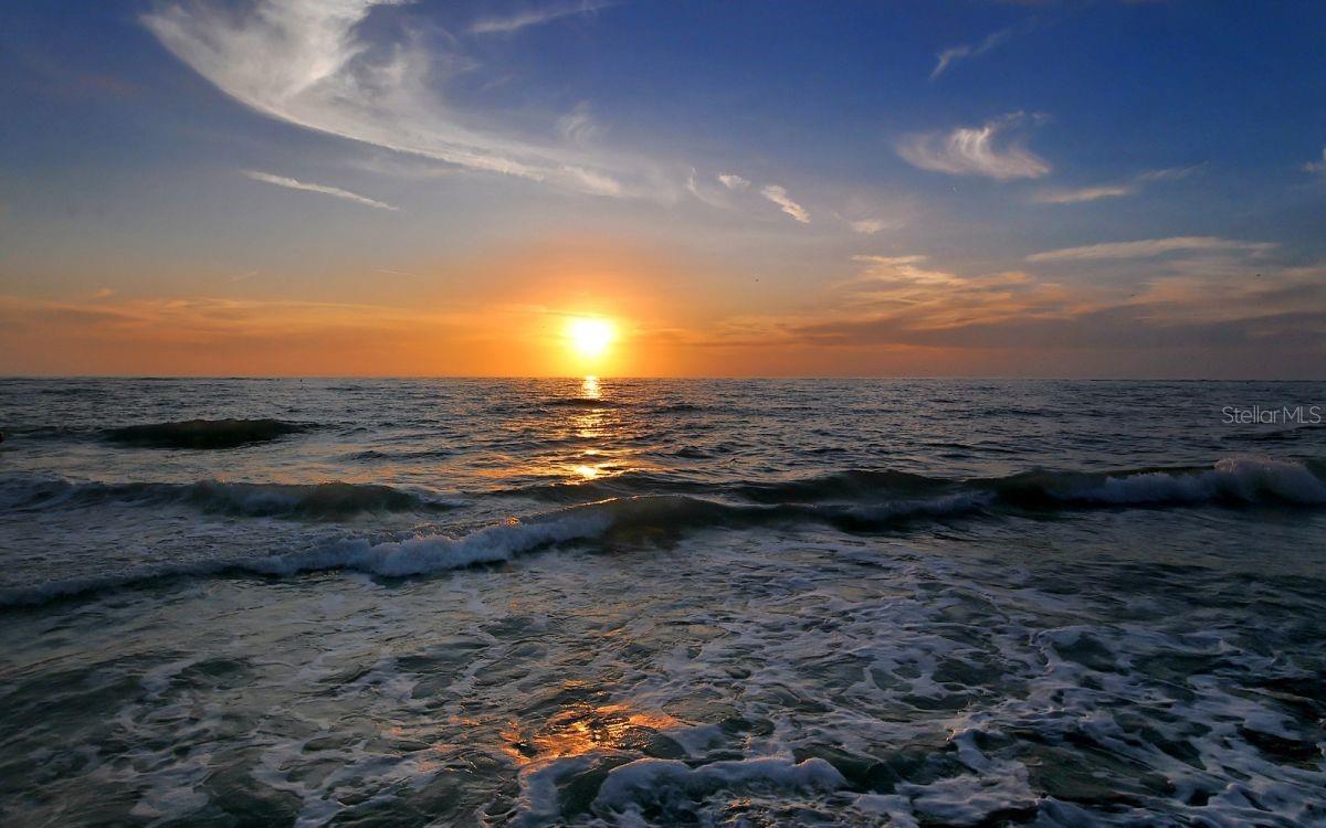 1150 TARPON CENTER DR #1-C #103