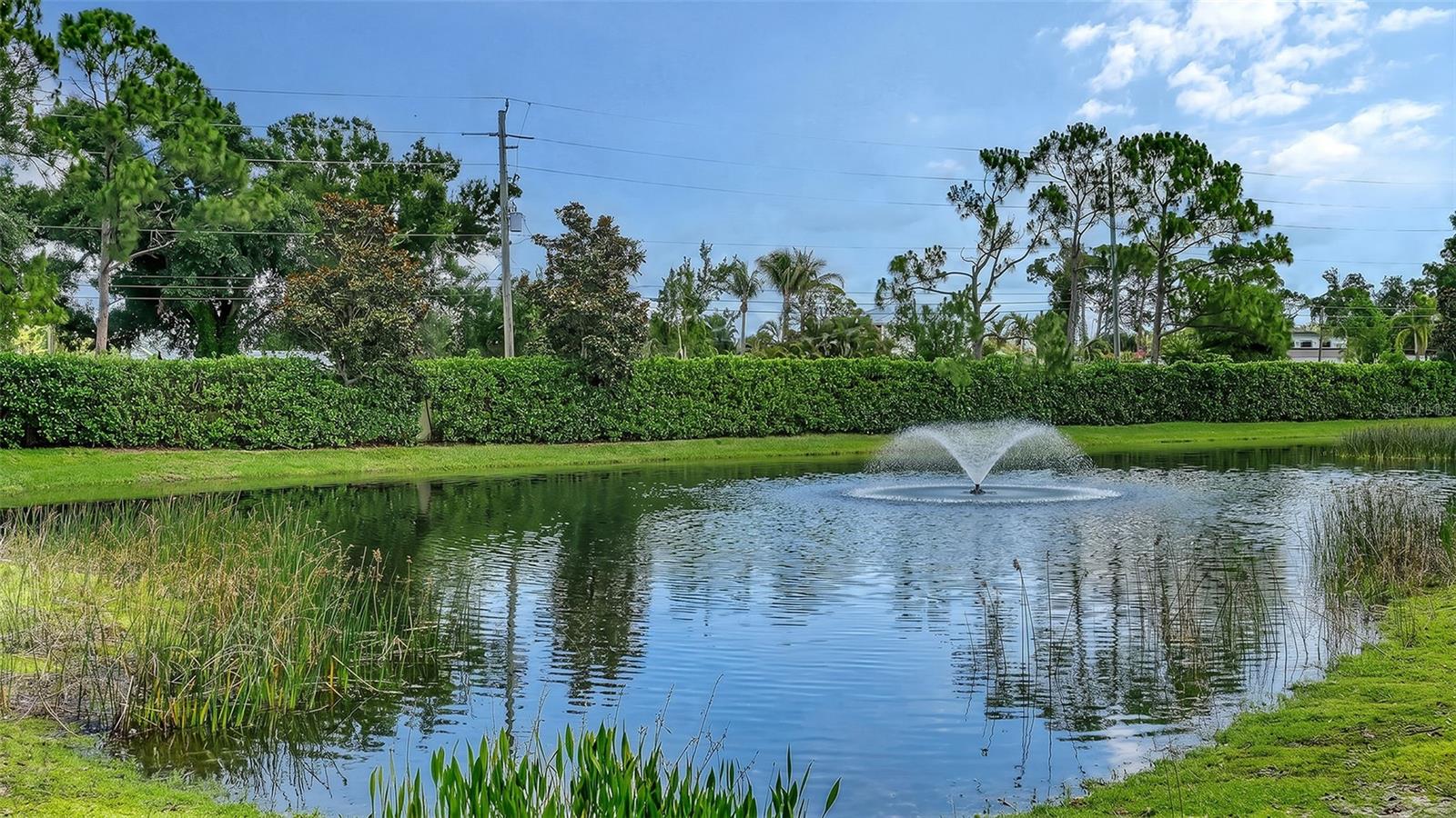 292 TURQUOISE LN