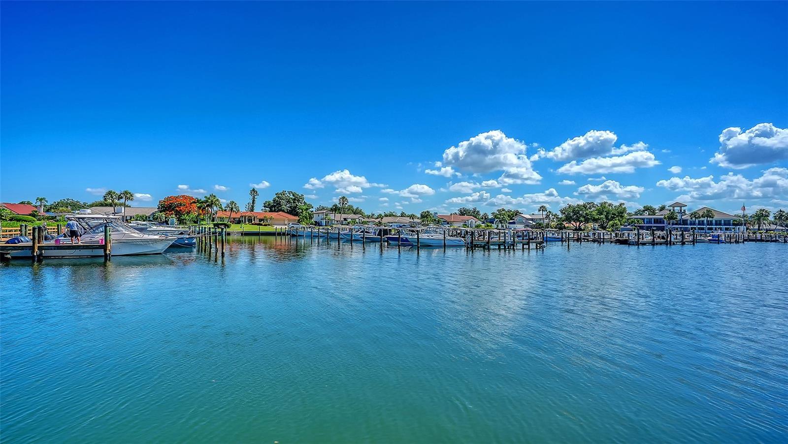 321 LOOKOUT POINT DR