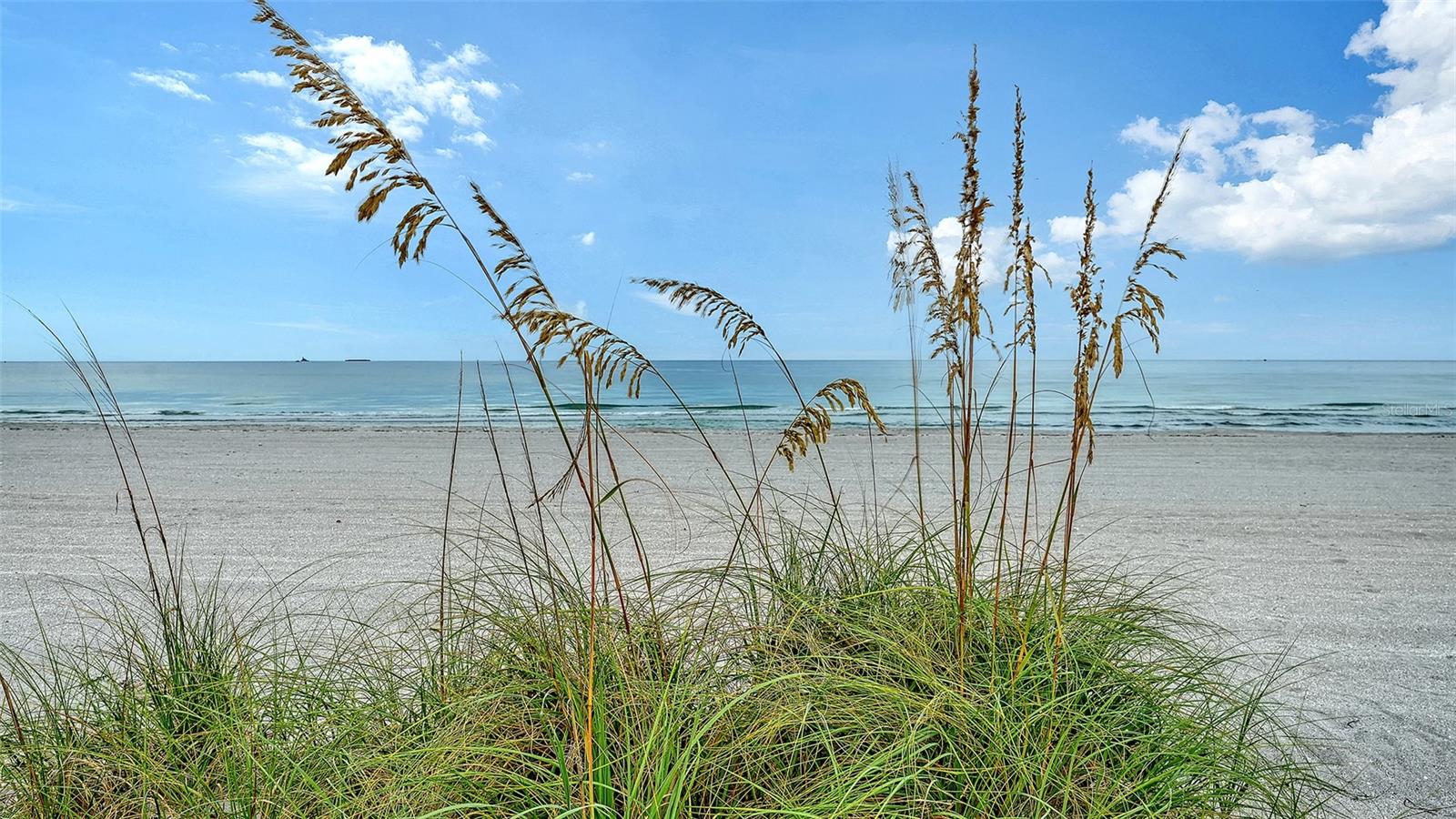 1150 TARPON CENTER DR #1-C #103