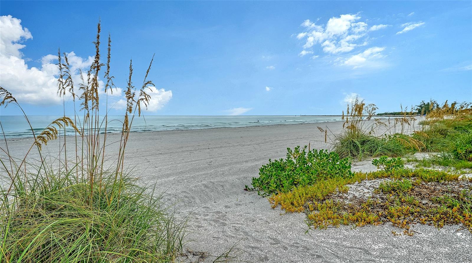 1150 TARPON CENTER DR #1-C #103