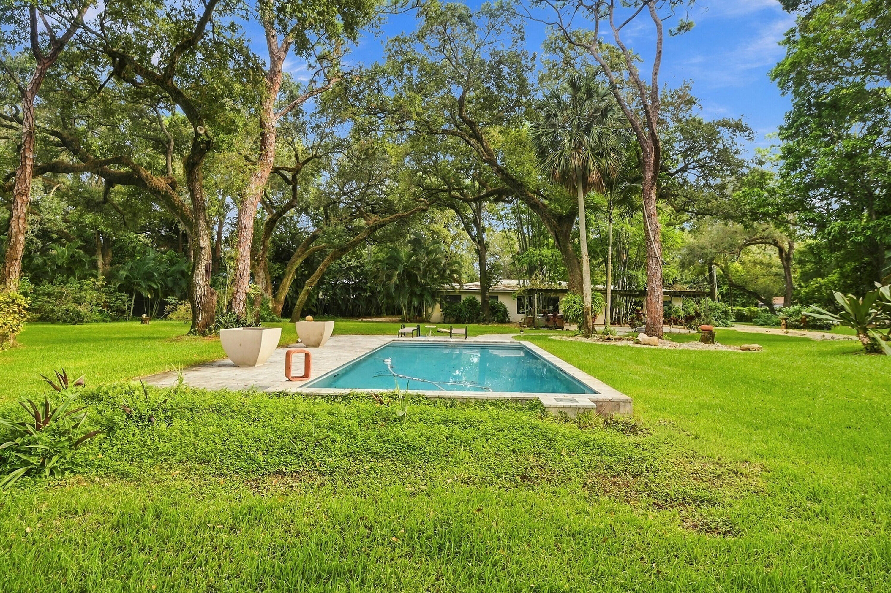 Rectangular swimming pool in a leafy backyard with mature trees and a single-story home.