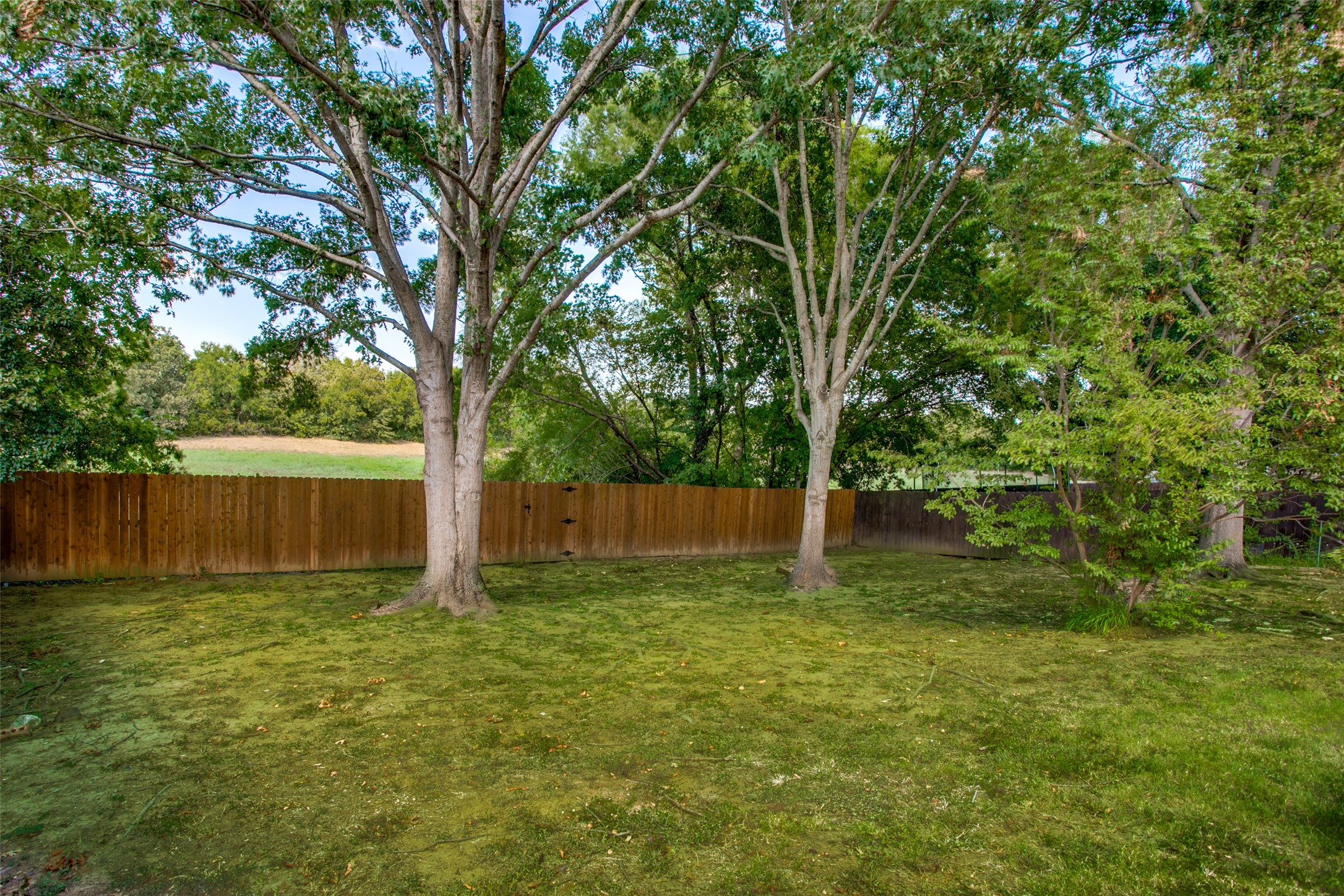 3516 Boxwood Drive