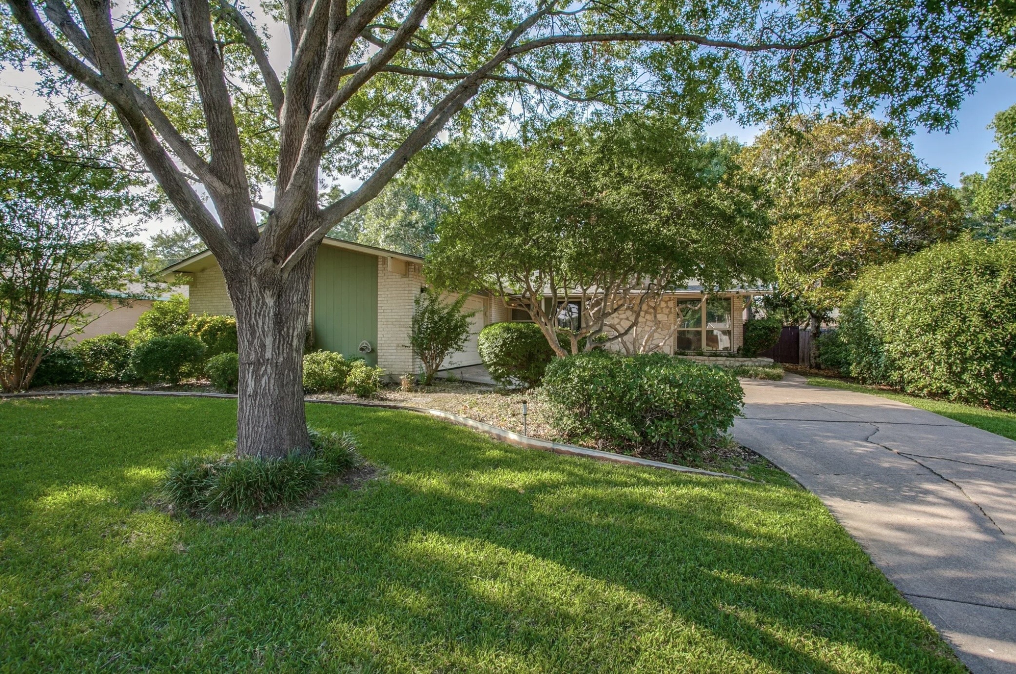 904 Wedgewood Way