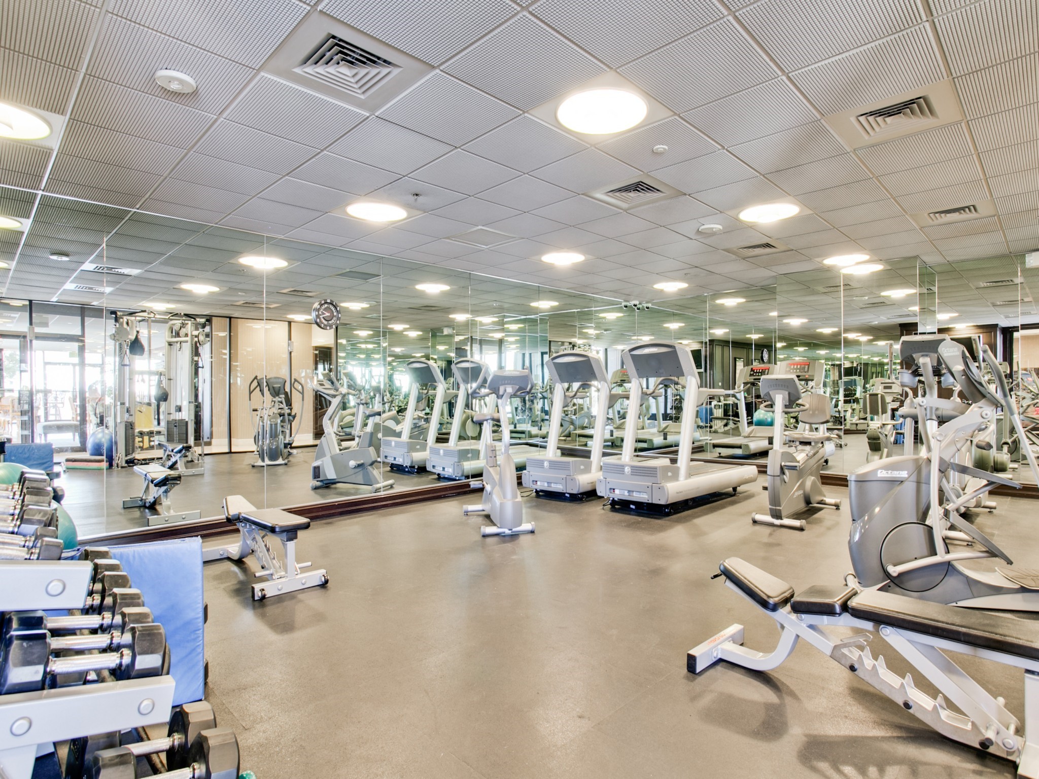 5909 Luther Lane 1106