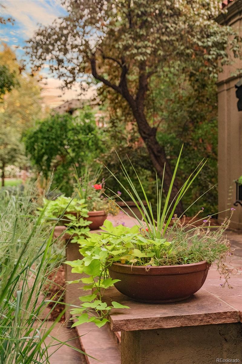 2057 Clermont Street