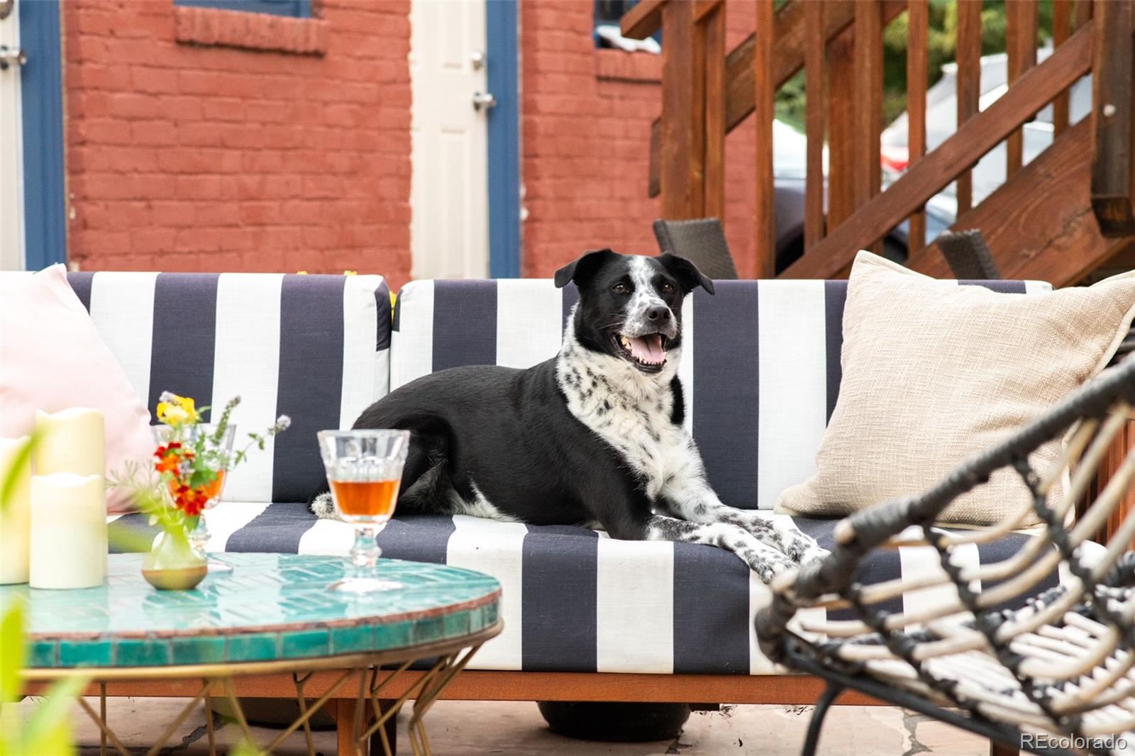 3611 Zuni Street Unit: 102