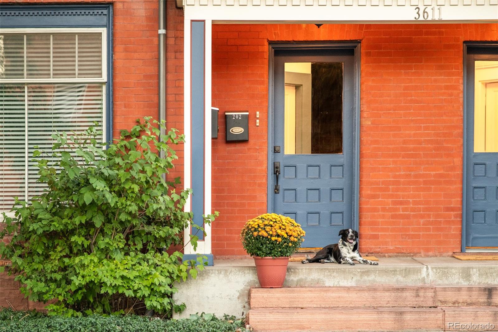 3611 Zuni Street Unit: 102