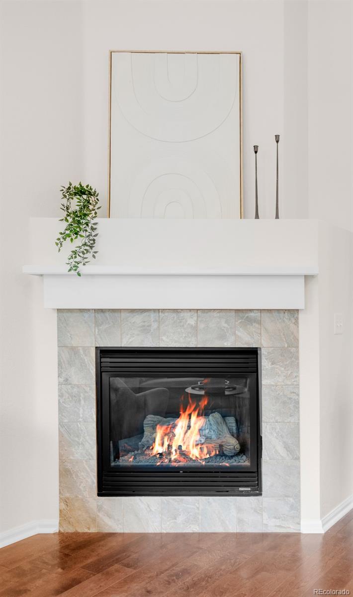 675 Bristle Pine Circle Unit: C