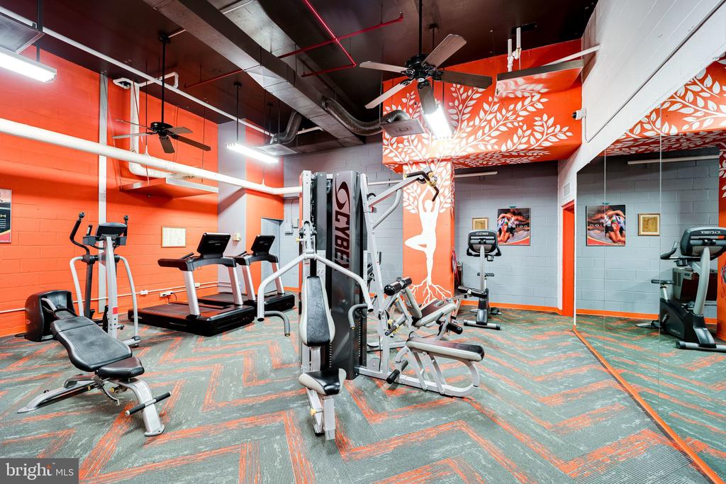 1225 MARTHA CUSTIS DRIVE Unit: 417