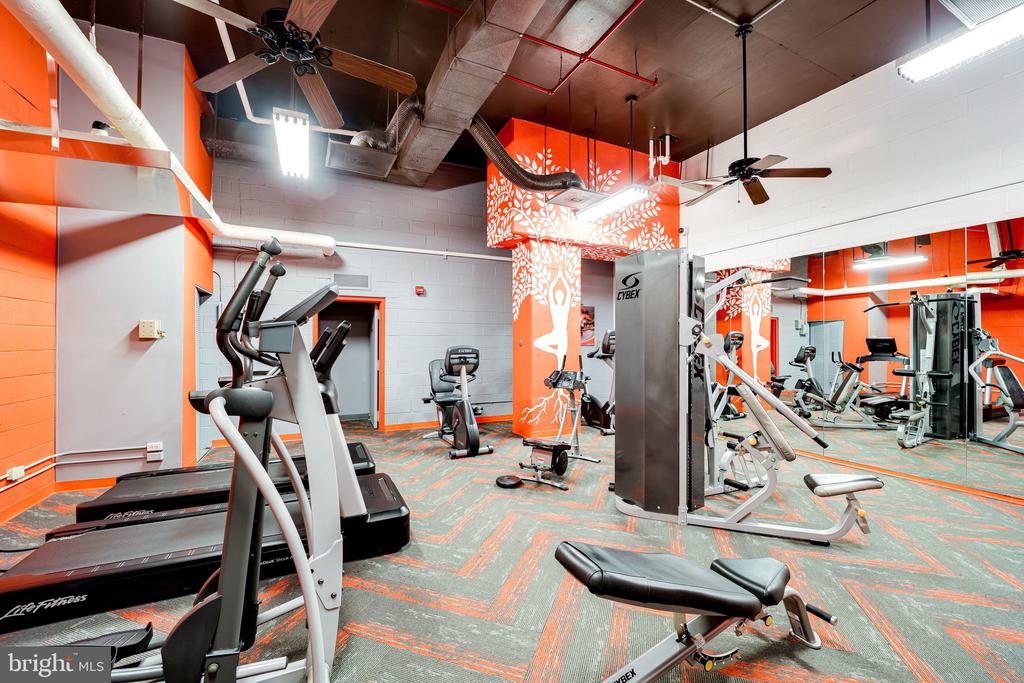 1225 MARTHA CUSTIS DRIVE Unit: 417