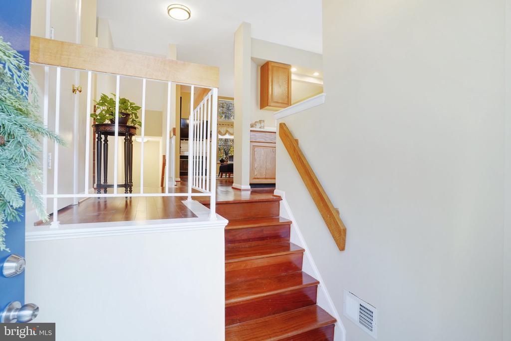 8309 LINDEN OAKS COURT
