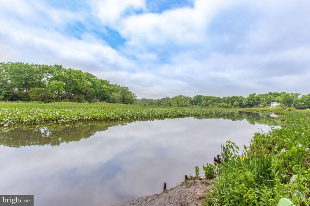 8213 CLIFTON FARM COURT