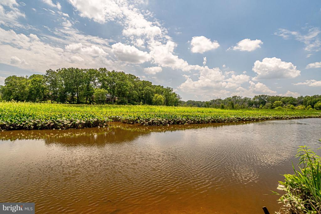 8213 CLIFTON FARM COURT