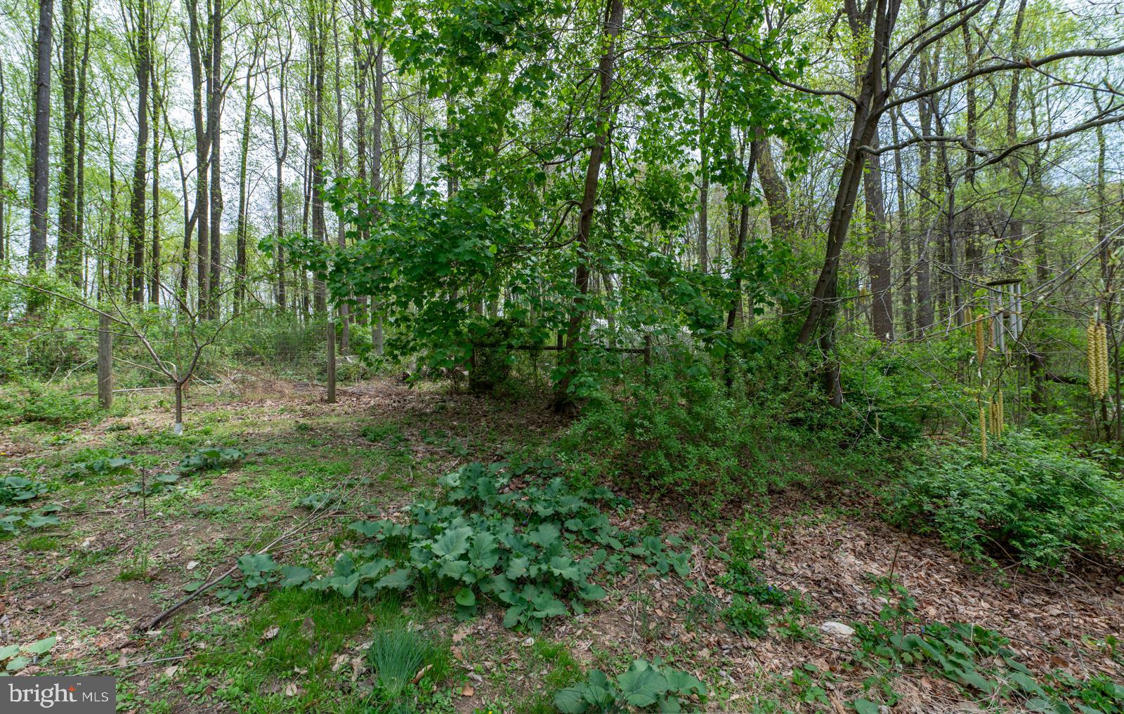 3702 Coventryville Rd