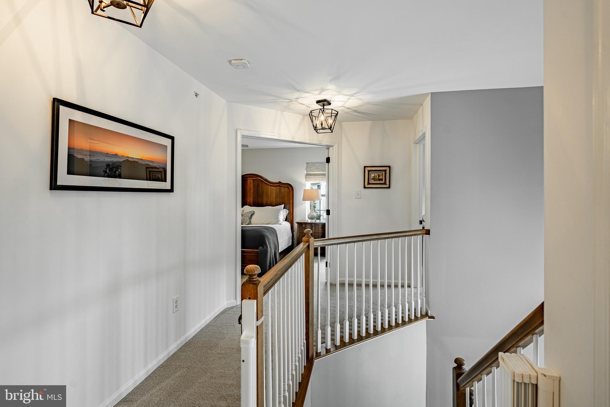 804 JACK RUSSELL LANE