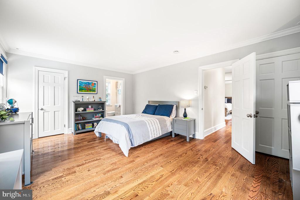497 SAINT DAVIDS AVENUE
