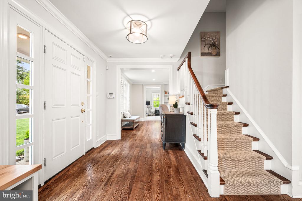 497 SAINT DAVIDS AVENUE