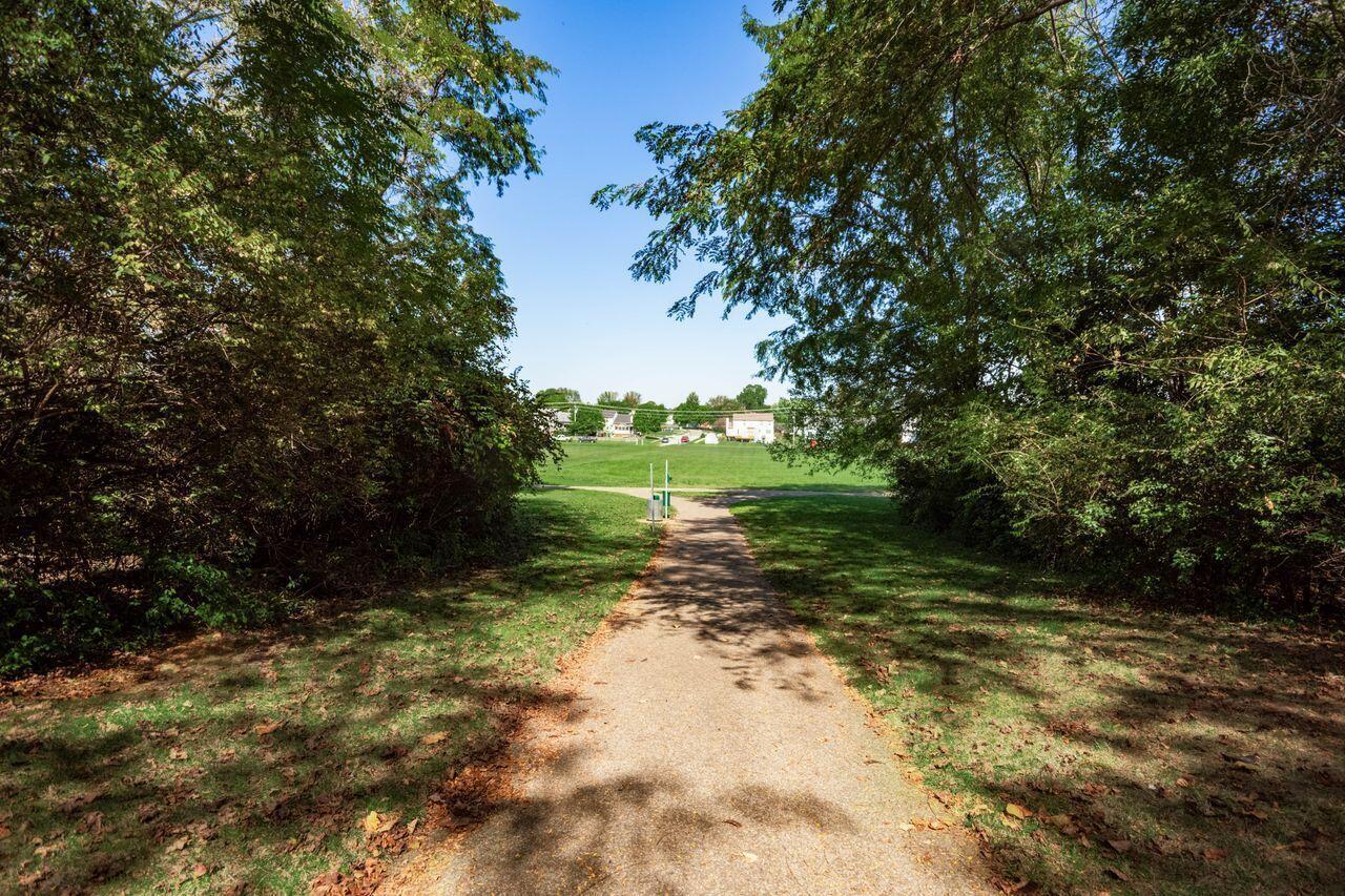 481 Rambling Brook Drive