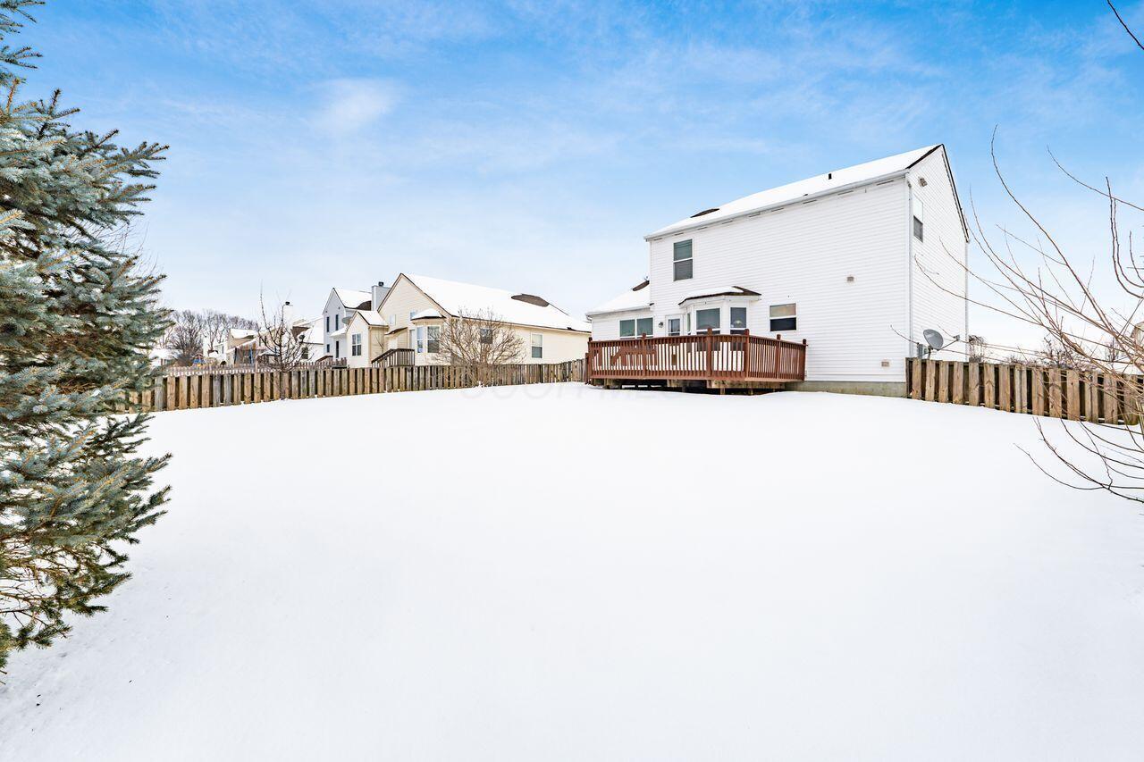 431 Vanderbuilt Street