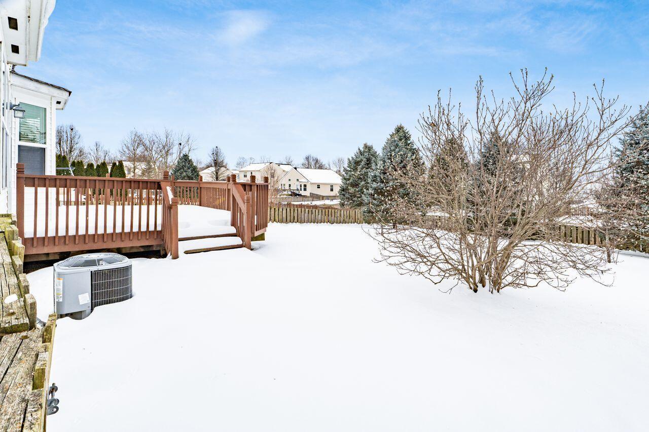 431 Vanderbuilt Street